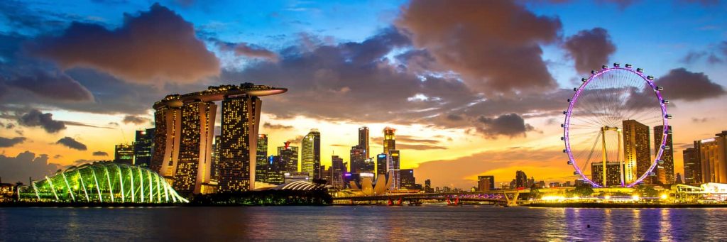 how do you check company name availability in singapore
