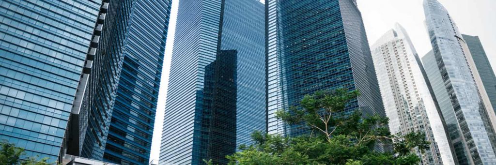 private limited company in Singapore